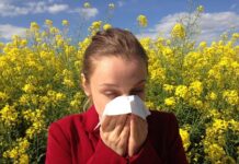 Alergia – wszystko co musisz wiedzieć alergia