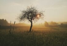 O czym świadczą trudno Gojące się rany? O czym świadczą trudno Gojące się rany?